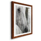 Contemplation - Premium Framed Print - Distressed Barnwood Frame - Ready to Hang