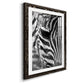 Zebra Colt - Premium Framed Print - Distressed Barnwood Frame - Ready to Hang