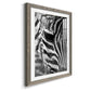 Zebra Colt - Premium Framed Print - Distressed Barnwood Frame - Ready to Hang