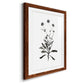 Inky Botanical I - Premium Framed Print - Distressed Barnwood Frame - Ready to Hang