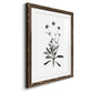 Inky Botanical I - Premium Framed Print - Distressed Barnwood Frame - Ready to Hang