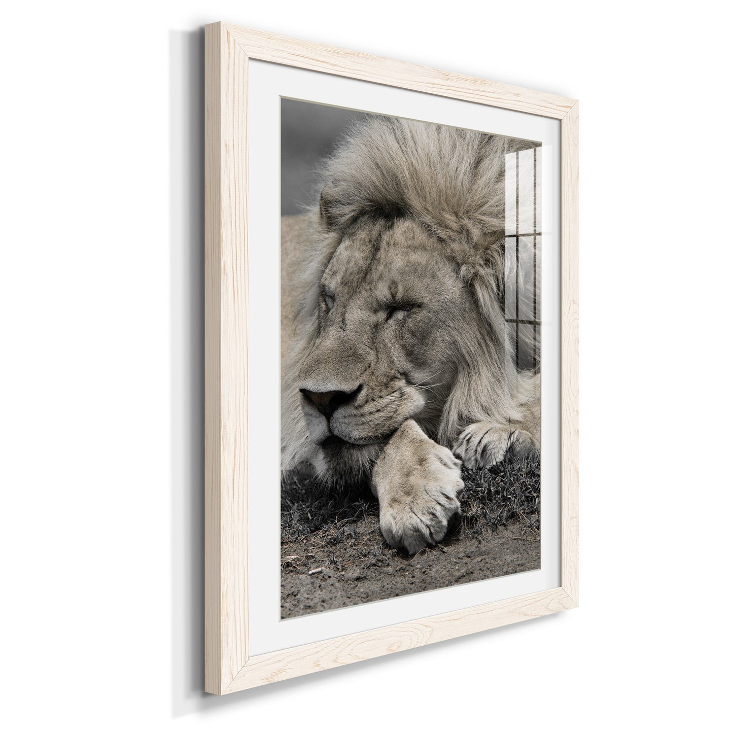 Sleepy Afternoon in Masai Mara - Premium Framed Print - Distressed Barnwood Frame - Ready to Hang