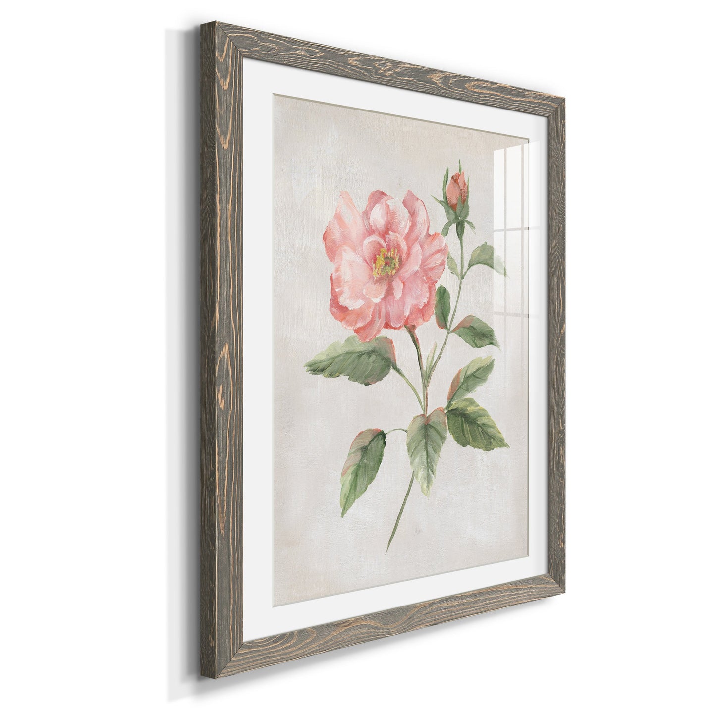 Grandiflora II - Premium Framed Print - Distressed Barnwood Frame - Ready to Hang