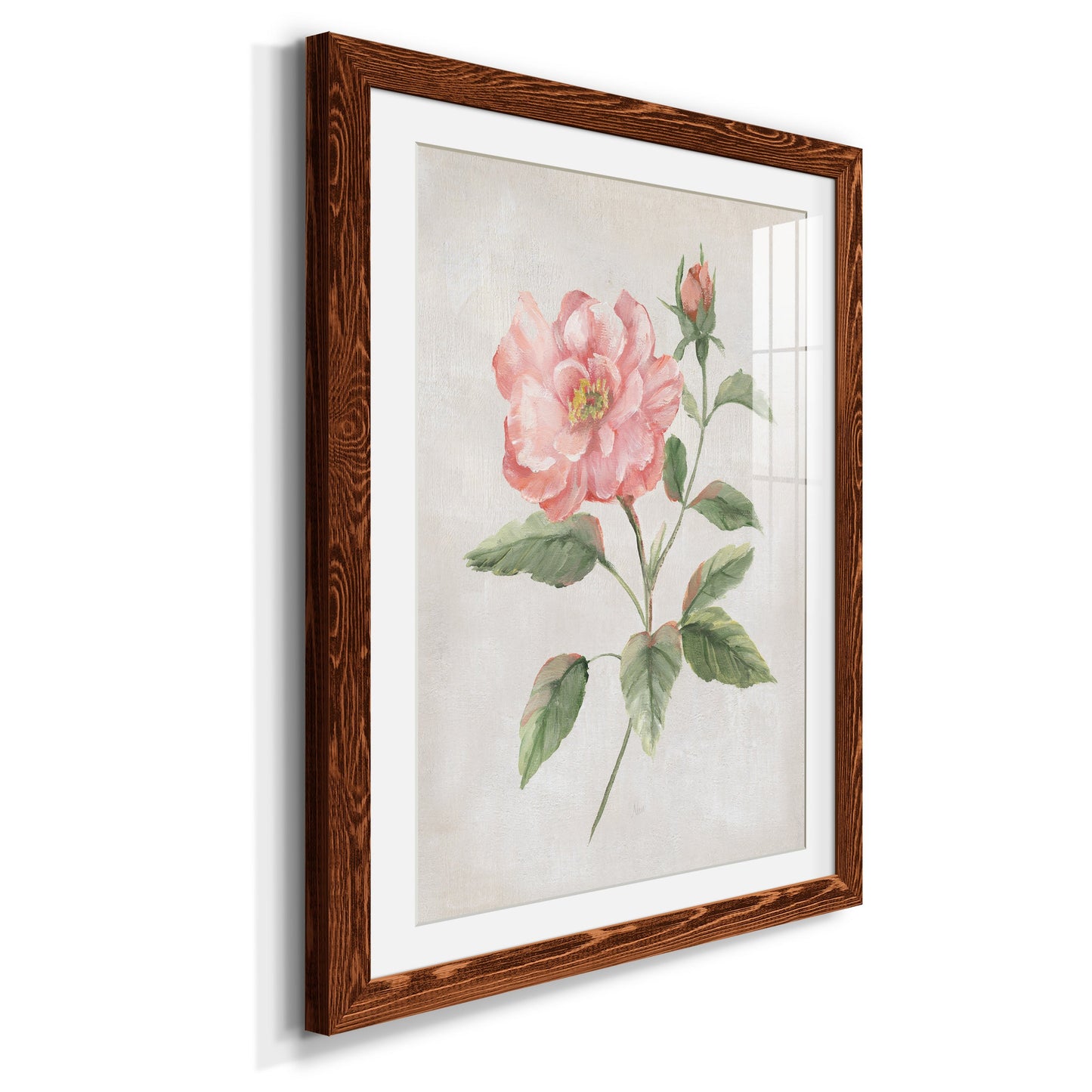 Grandiflora II - Premium Framed Print - Distressed Barnwood Frame - Ready to Hang