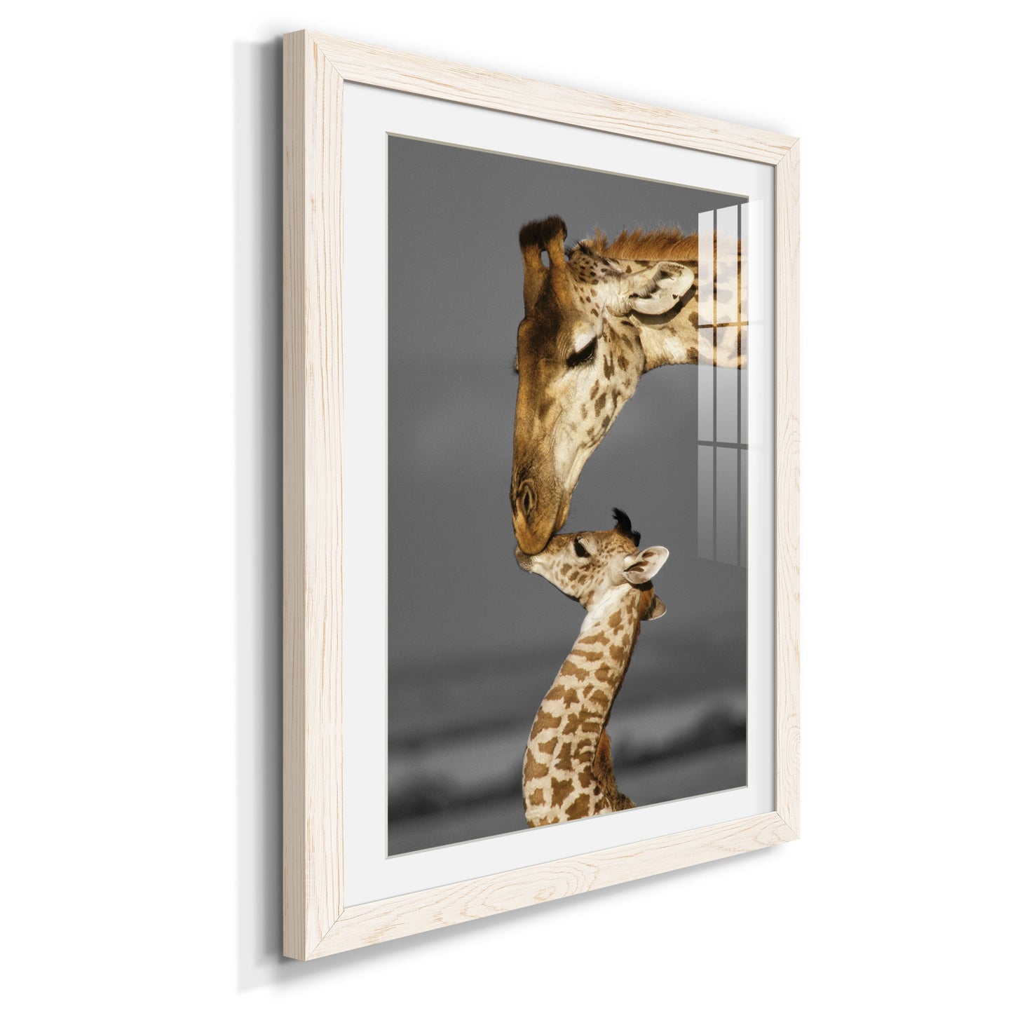 Masai Mara Giraffe Family - Premium Framed Print - Distressed Barnwood Frame - Ready to Hang