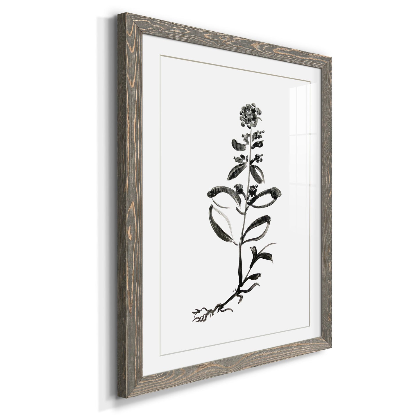 Inky Botanical III - Premium Framed Print - Distressed Barnwood Frame - Ready to Hang