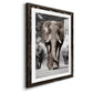 Botswana Patriarch - Premium Framed Print - Distressed Barnwood Frame - Ready to Hang