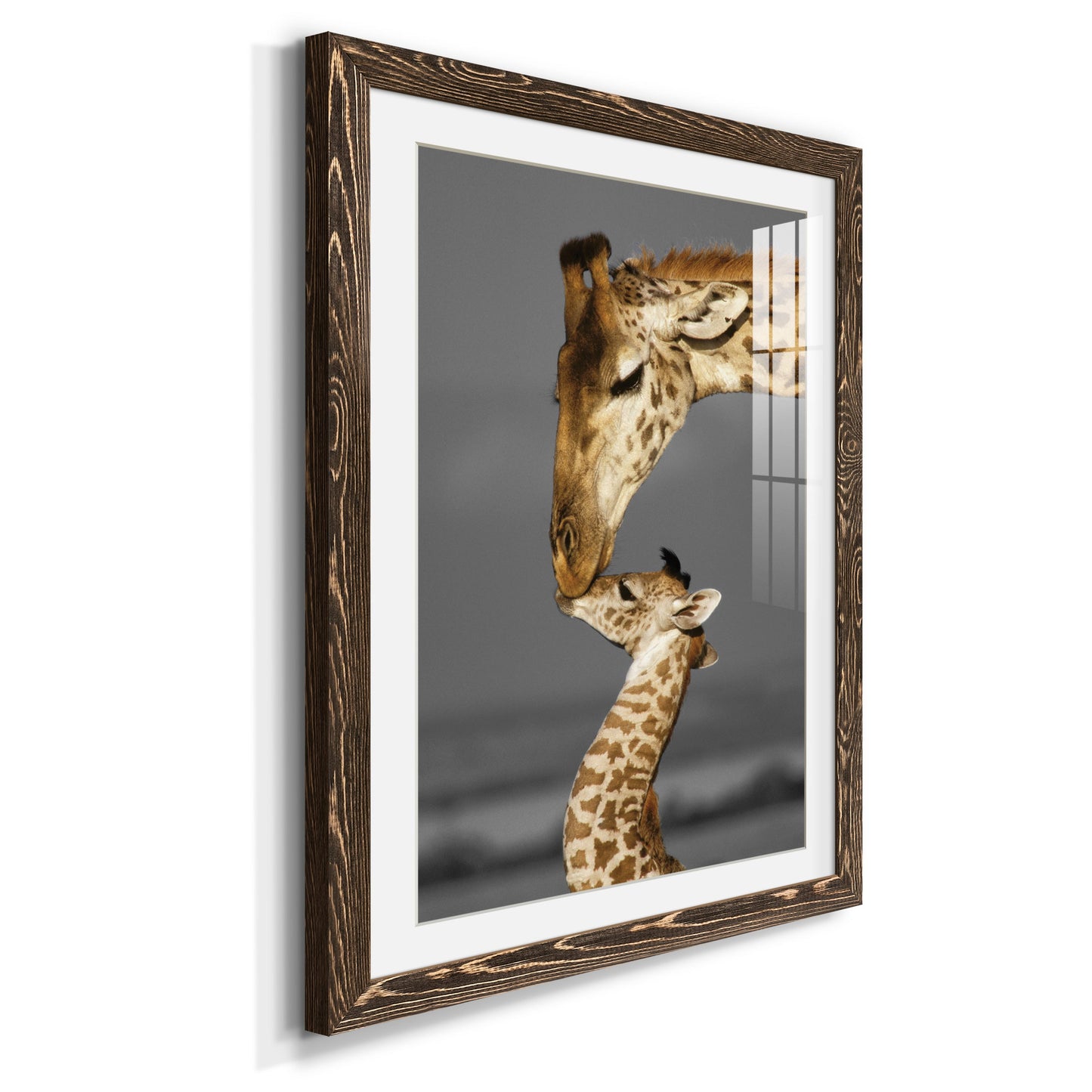 Masai Mara Giraffe Family - Premium Framed Print - Distressed Barnwood Frame - Ready to Hang