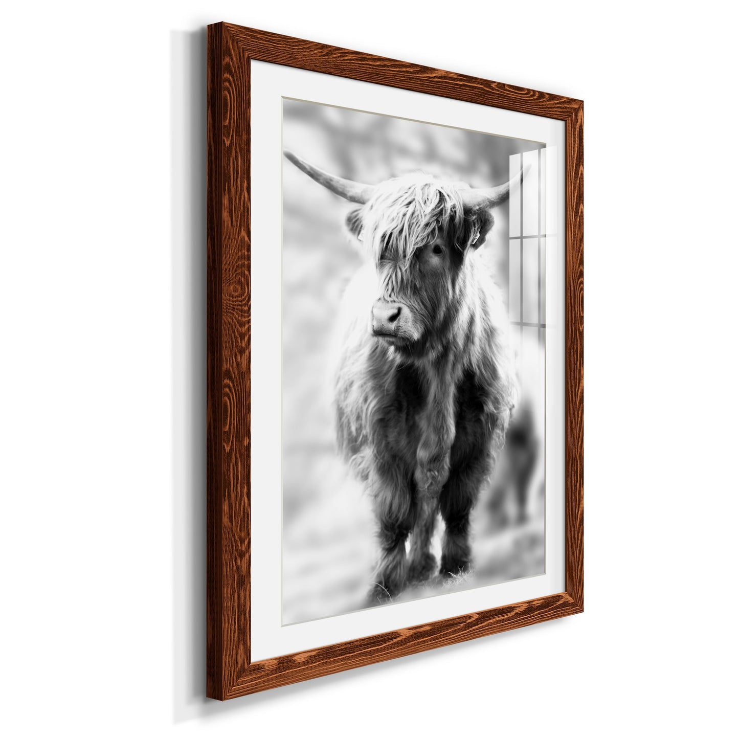 Yorkshire Highland - Premium Framed Print - Distressed Barnwood Frame - Ready to Hang