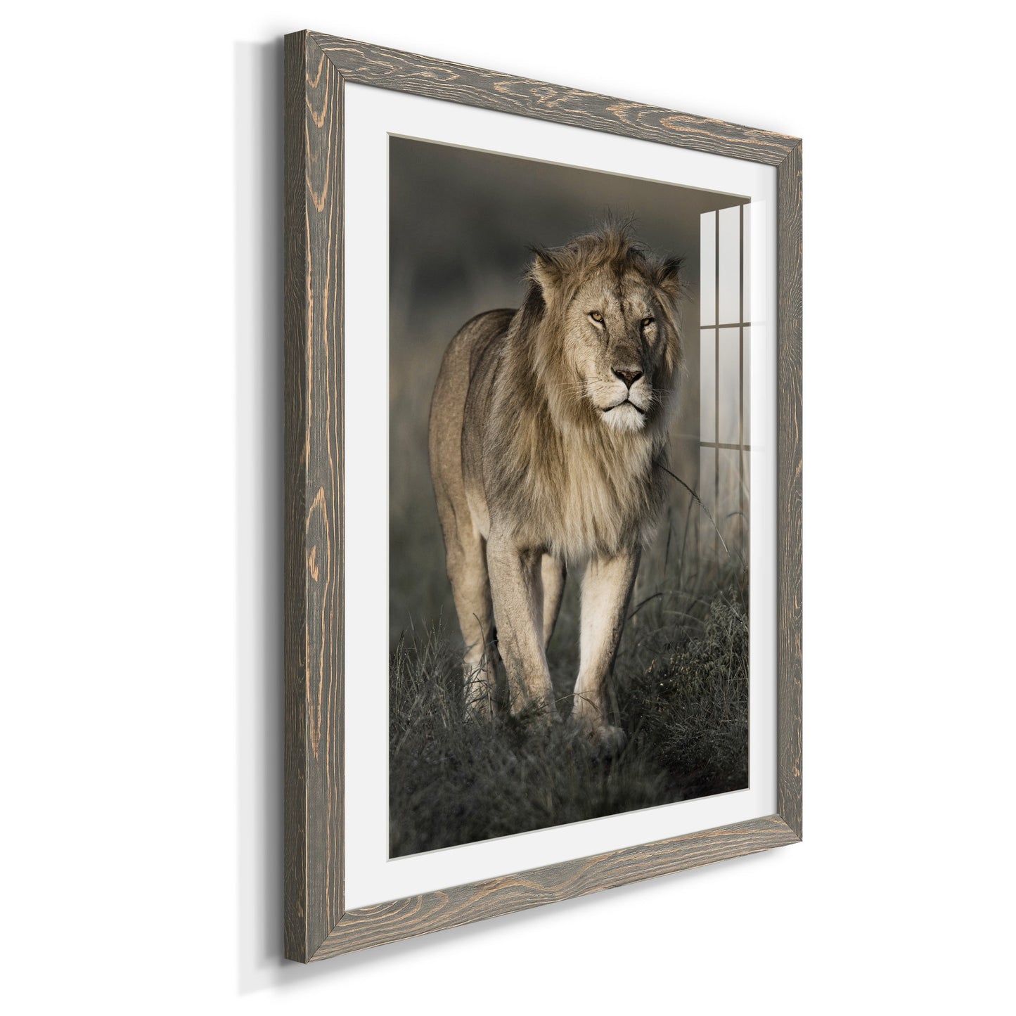 Morning Walk in Masai Mara - Premium Framed Print - Distressed Barnwood Frame - Ready to Hang