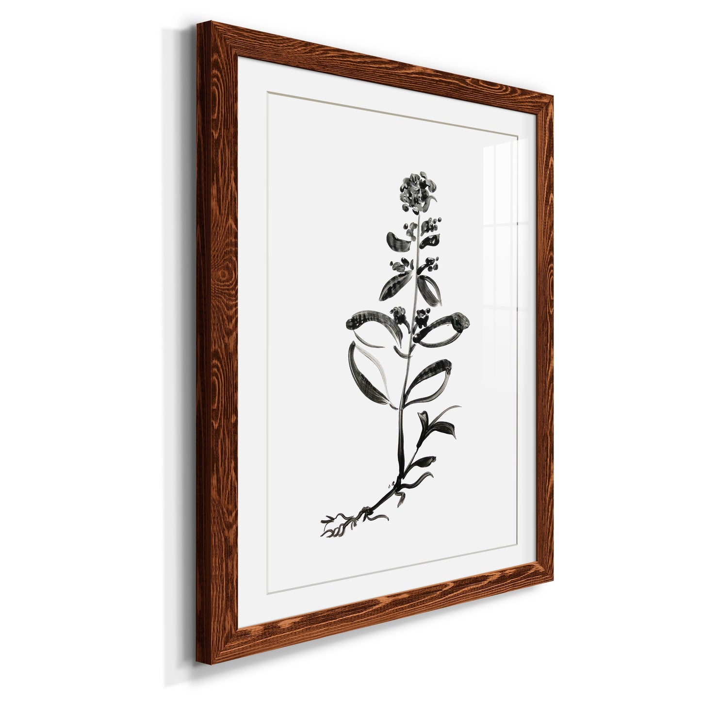 Inky Botanical III - Premium Framed Print - Distressed Barnwood Frame - Ready to Hang