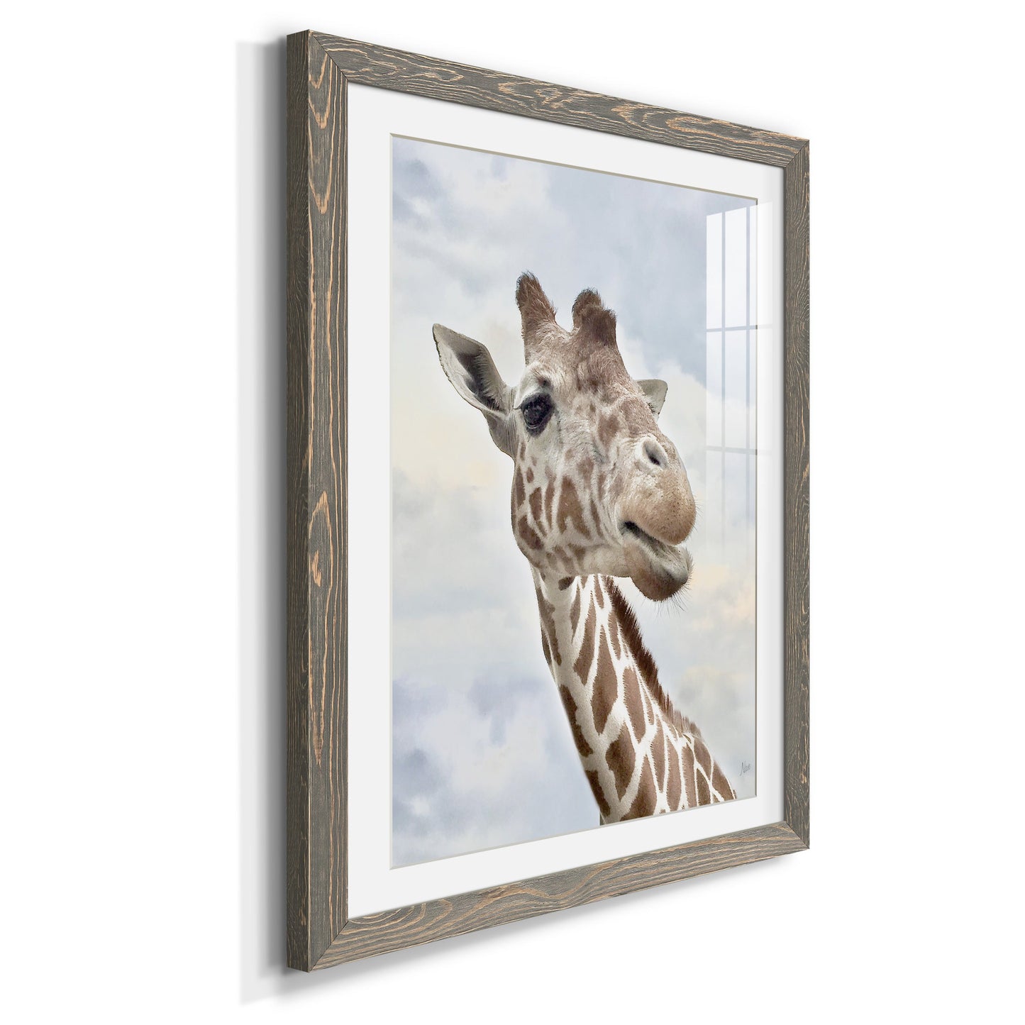 Smiley - Premium Framed Print - Distressed Barnwood Frame - Ready to Hang