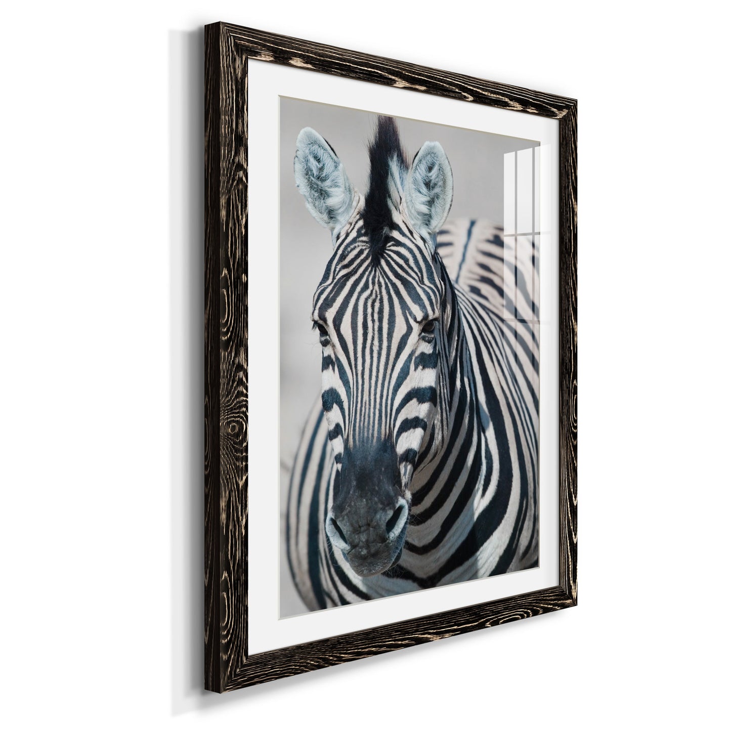 Namibia Zebra - Premium Framed Print - Distressed Barnwood Frame - Ready to Hang