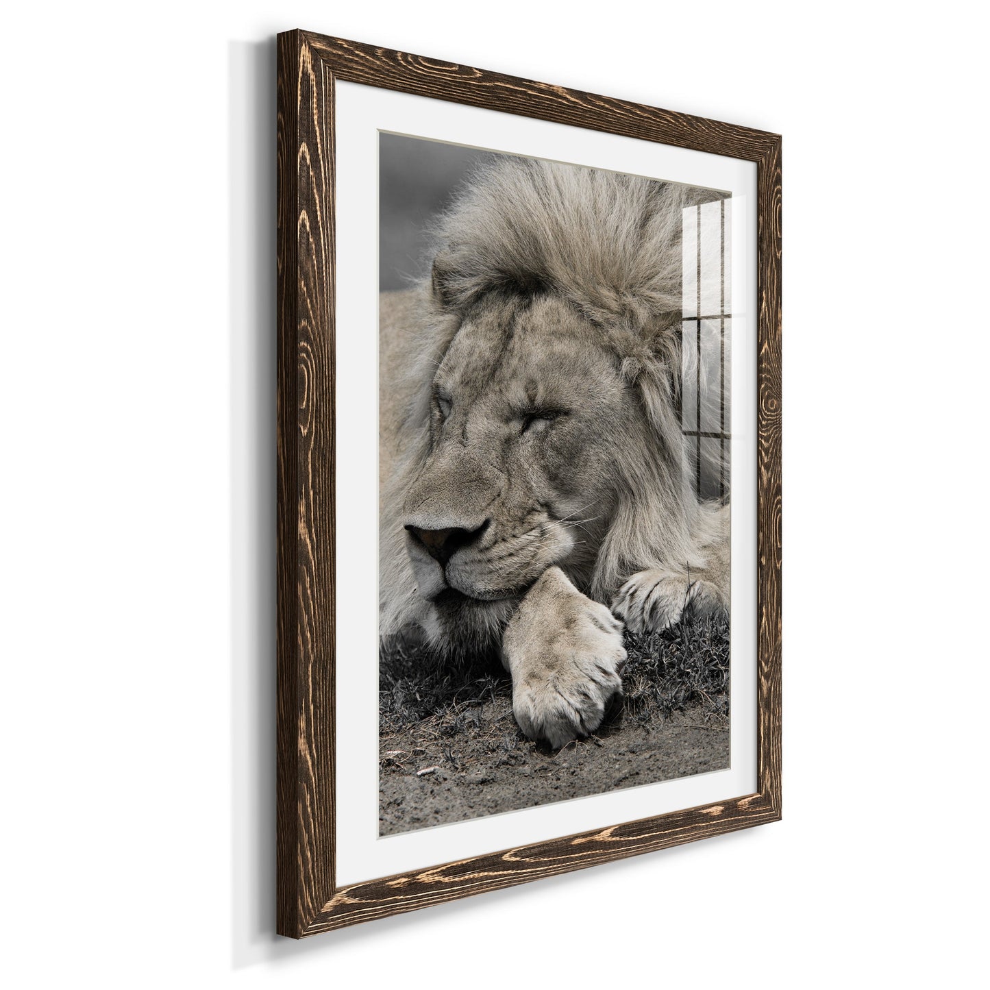 Sleepy Afternoon in Masai Mara - Premium Framed Print - Distressed Barnwood Frame - Ready to Hang