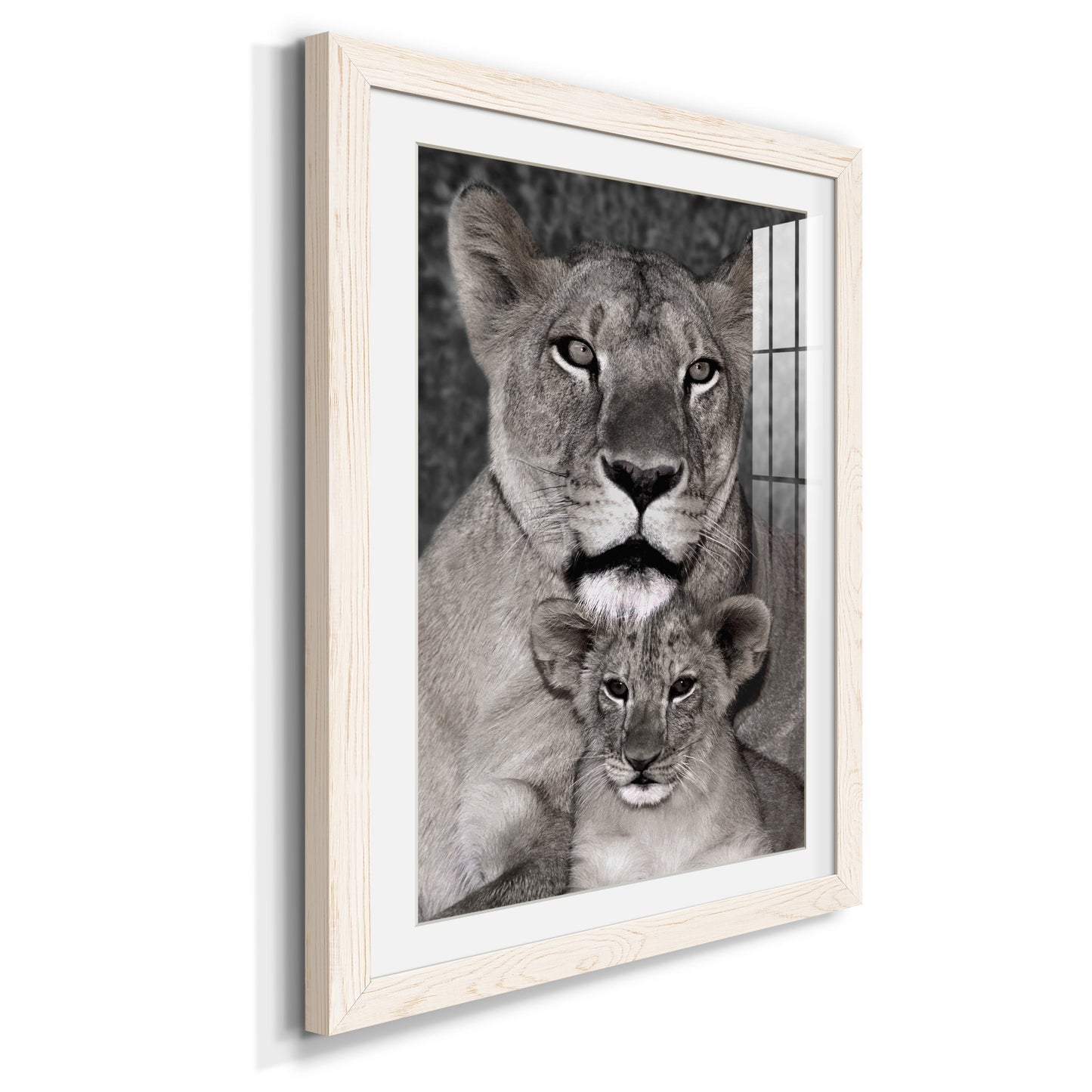 Lioness and Cub - Premium Framed Print - Distressed Barnwood Frame - Ready to Hang