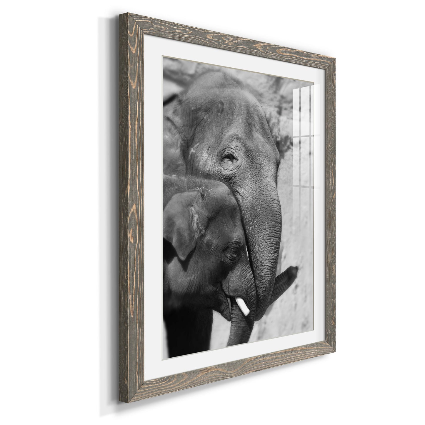 Tender Moment - Premium Framed Print - Distressed Barnwood Frame - Ready to Hang