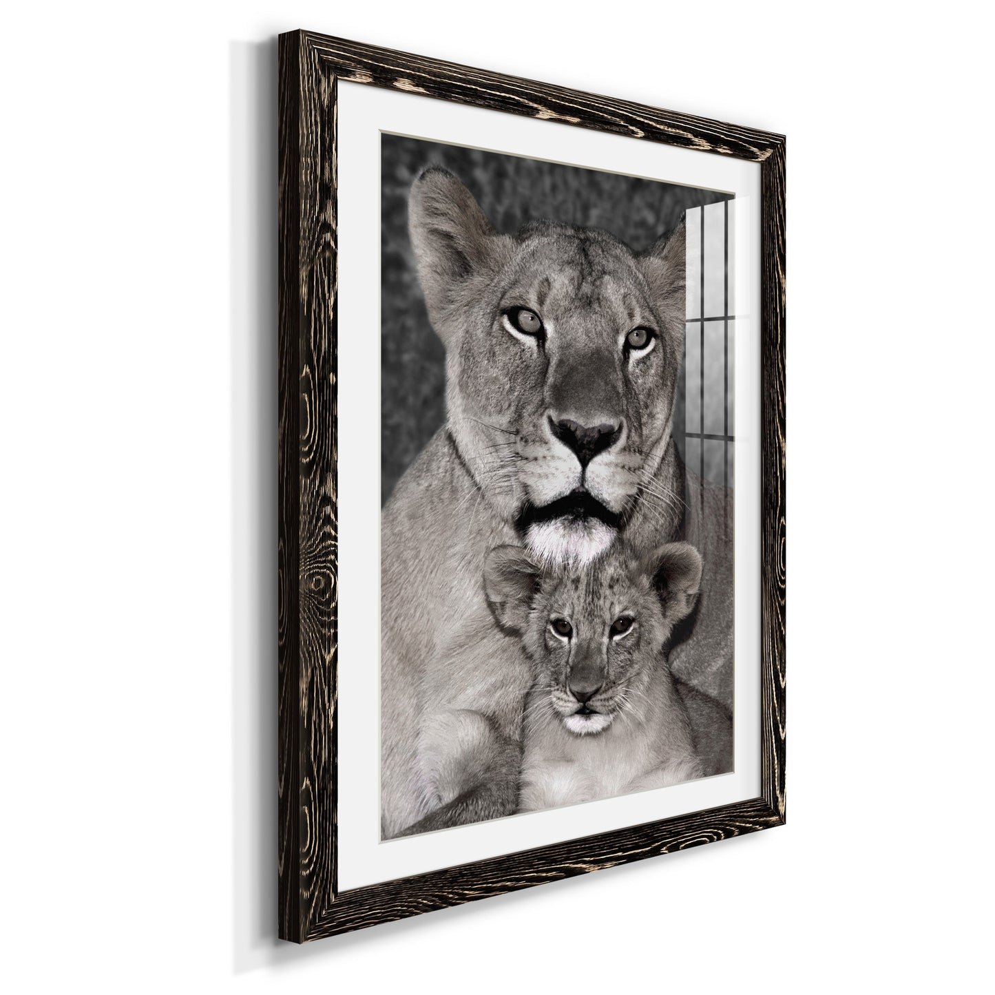 Lioness and Cub - Premium Framed Print - Distressed Barnwood Frame - Ready to Hang