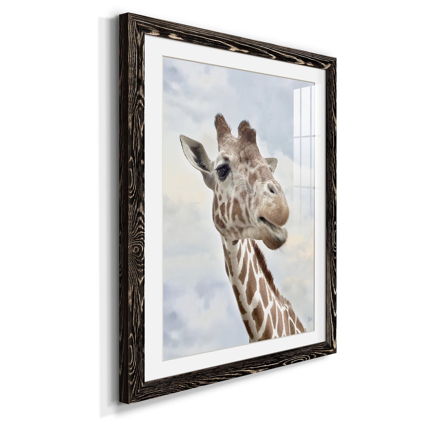 Smiley - Premium Framed Print - Distressed Barnwood Frame - Ready to Hang