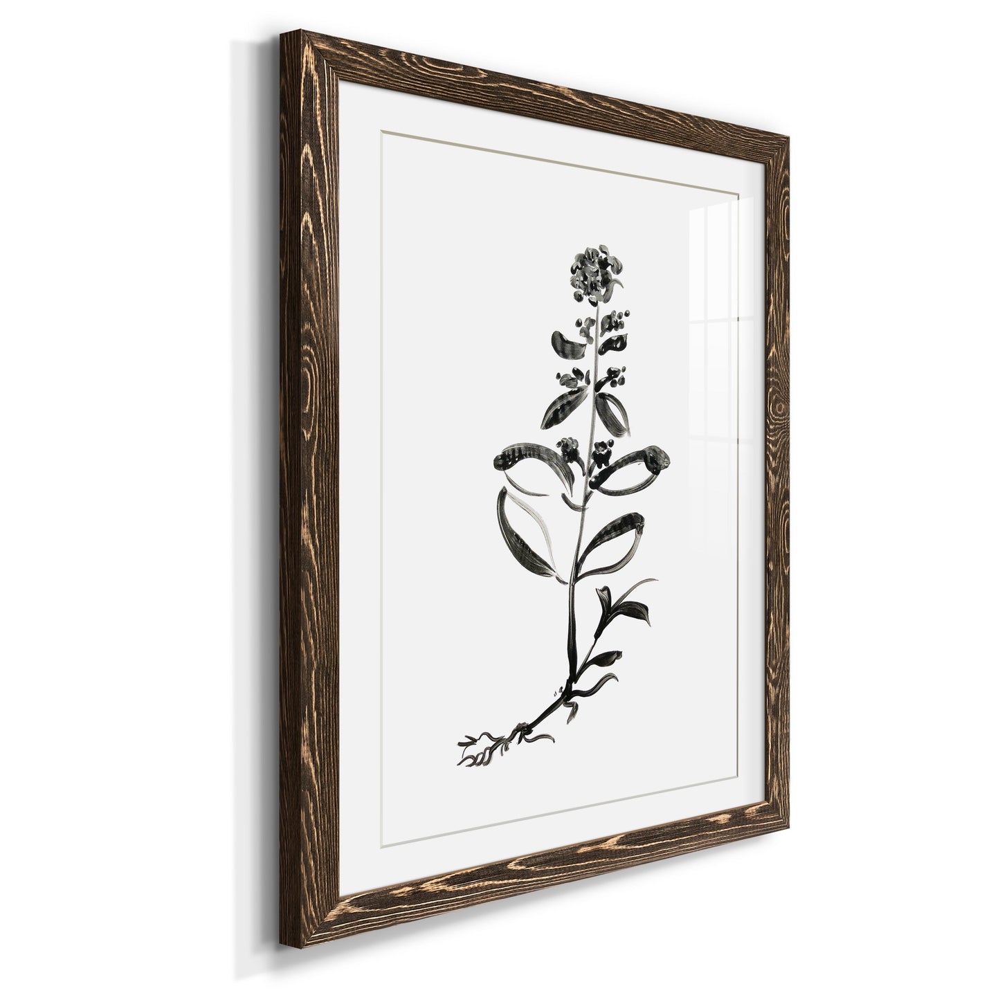 Inky Botanical III - Premium Framed Print - Distressed Barnwood Frame - Ready to Hang