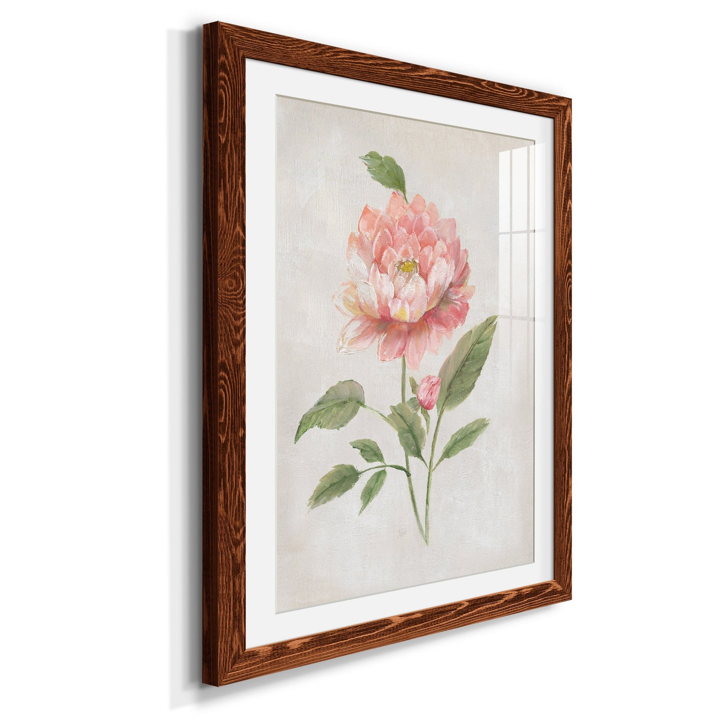 Grandiflora III - Premium Framed Print - Distressed Barnwood Frame - Ready to Hang