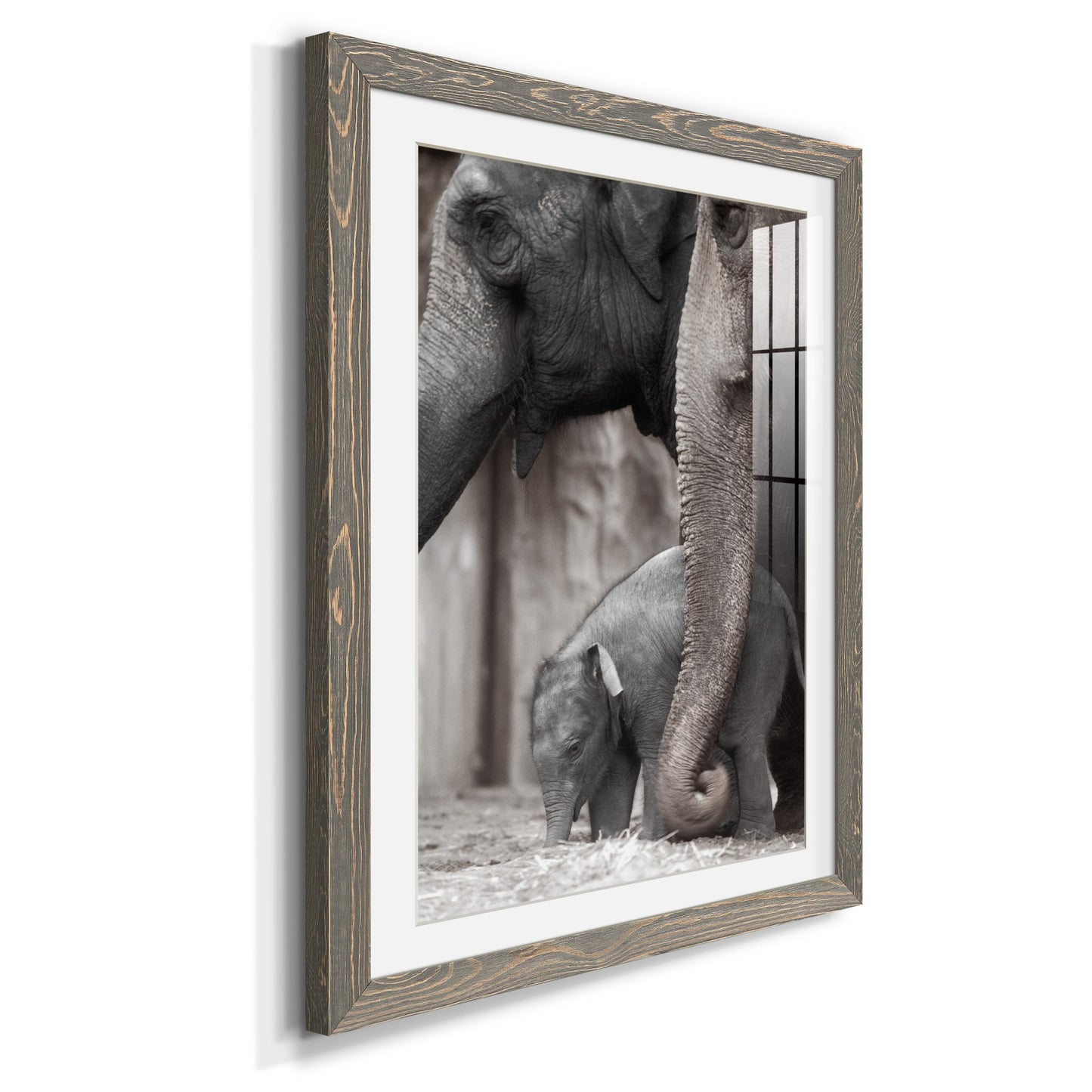 Family Moment - Premium Framed Print - Distressed Barnwood Frame - Ready to Hang