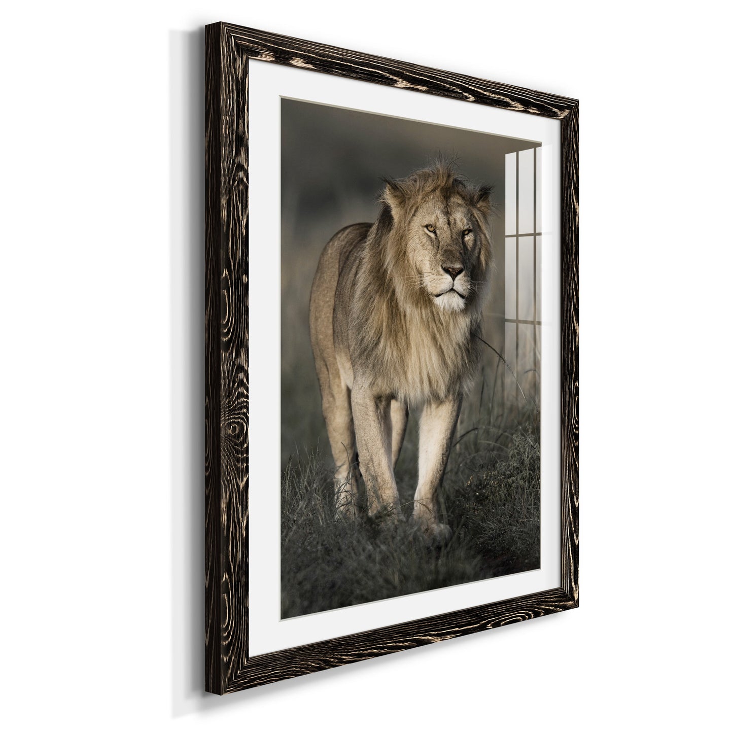 Morning Walk in Masai Mara - Premium Framed Print - Distressed Barnwood Frame - Ready to Hang