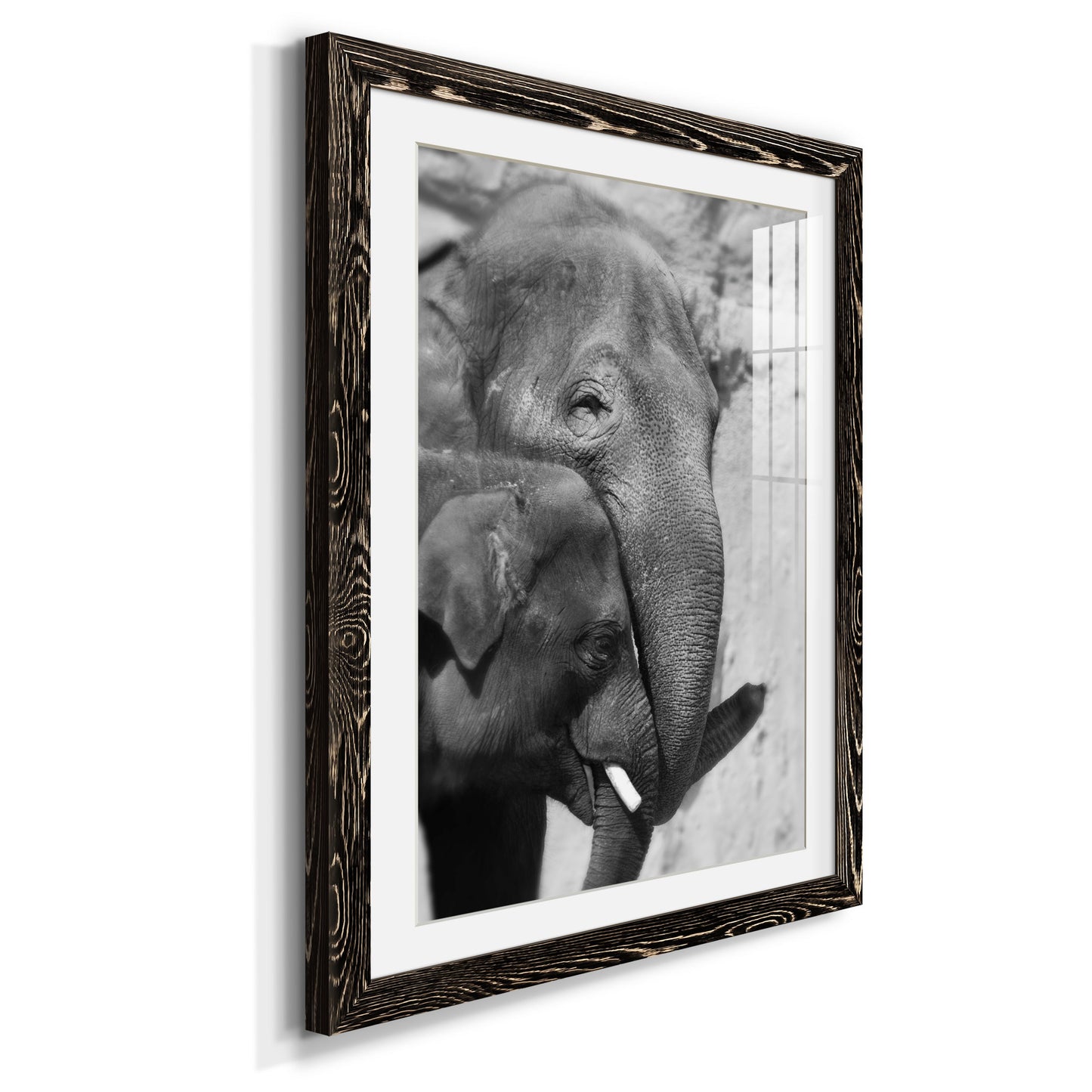 Tender Moment - Premium Framed Print - Distressed Barnwood Frame - Ready to Hang