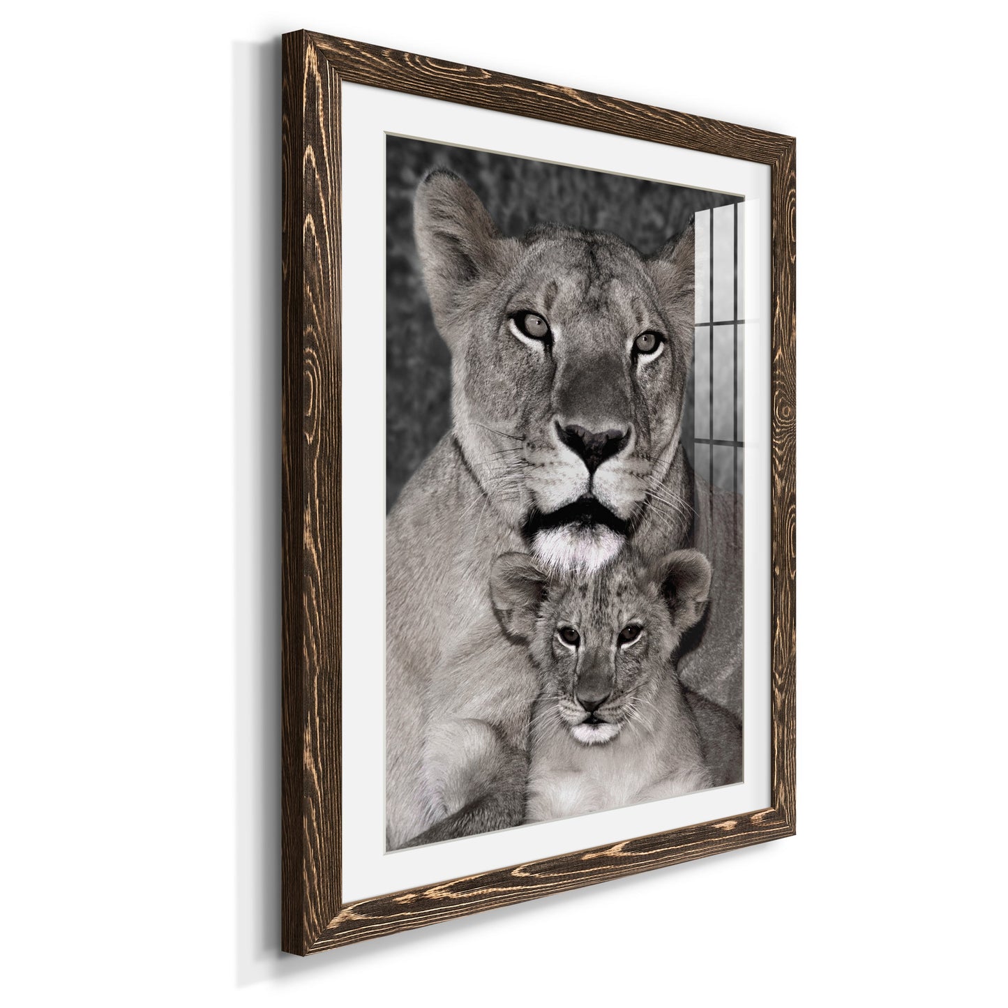 Lioness and Cub - Premium Framed Print - Distressed Barnwood Frame - Ready to Hang