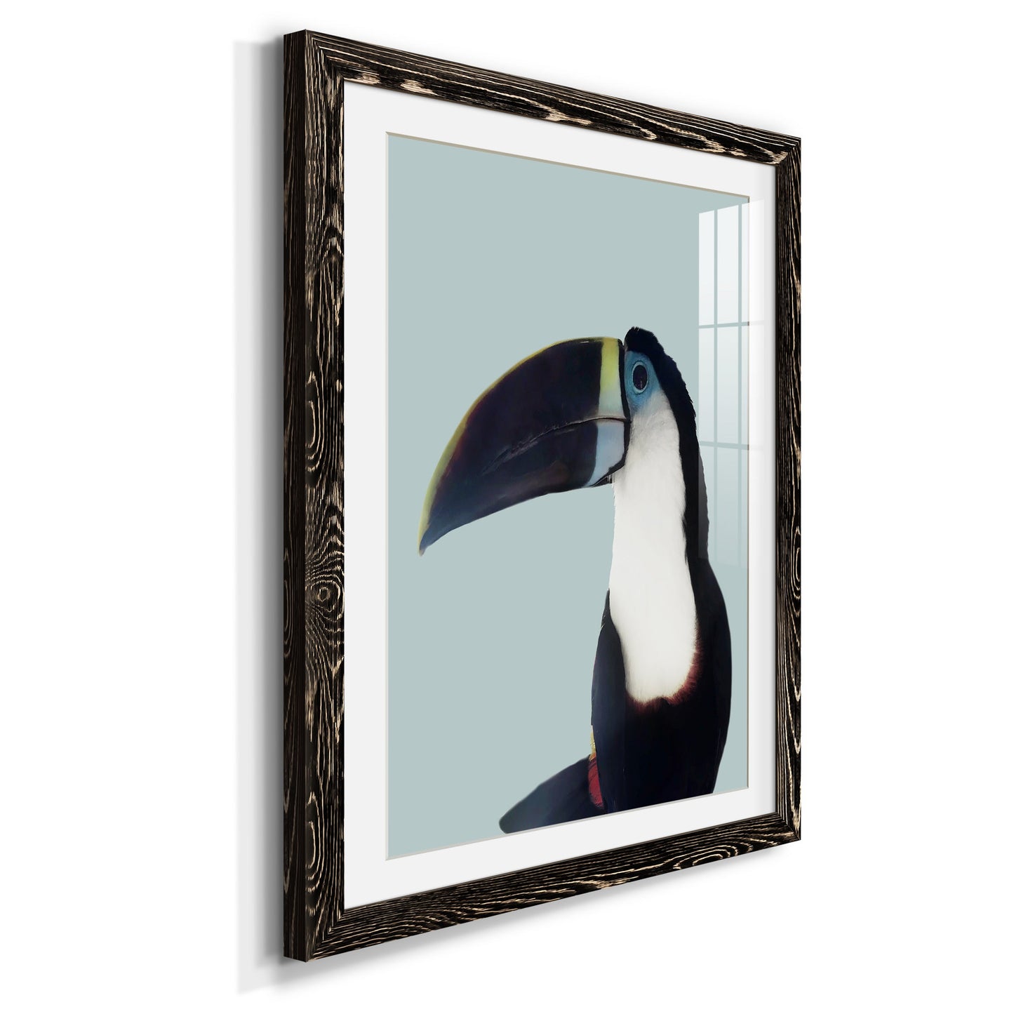 Aruba Wildlife - Premium Framed Print - Distressed Barnwood Frame - Ready to Hang