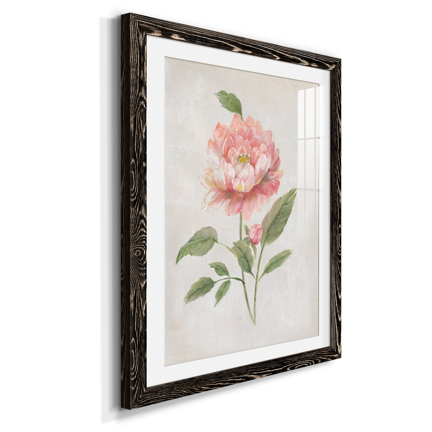 Grandiflora III - Premium Framed Print - Distressed Barnwood Frame - Ready to Hang