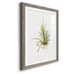 Gardenaire II - Premium Framed Print - Distressed Barnwood Frame - Ready to Hang