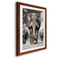 Botswana Patriarch - Premium Framed Print - Distressed Barnwood Frame - Ready to Hang