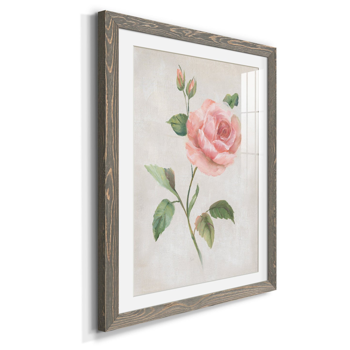 Grandiflora I - Premium Framed Print - Distressed Barnwood Frame - Ready to Hang