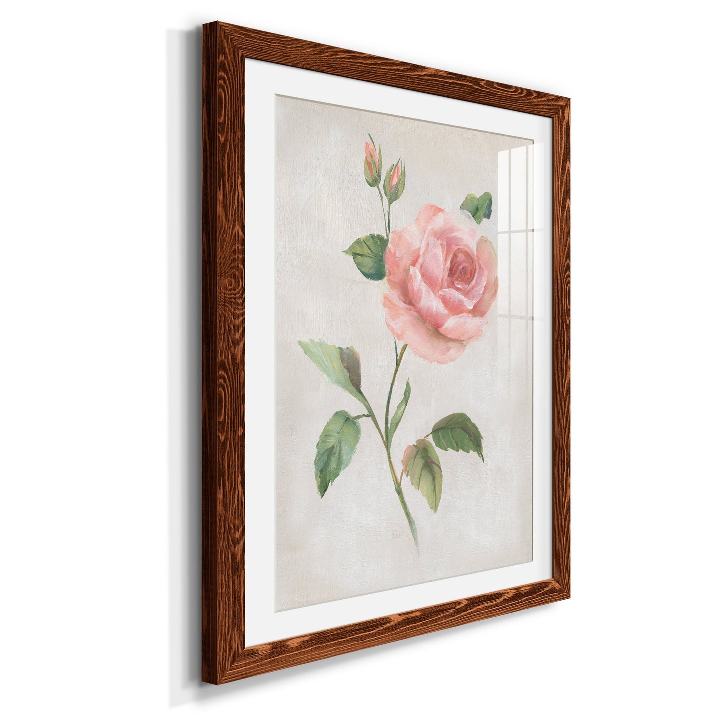 Grandiflora I - Premium Framed Print - Distressed Barnwood Frame - Ready to Hang