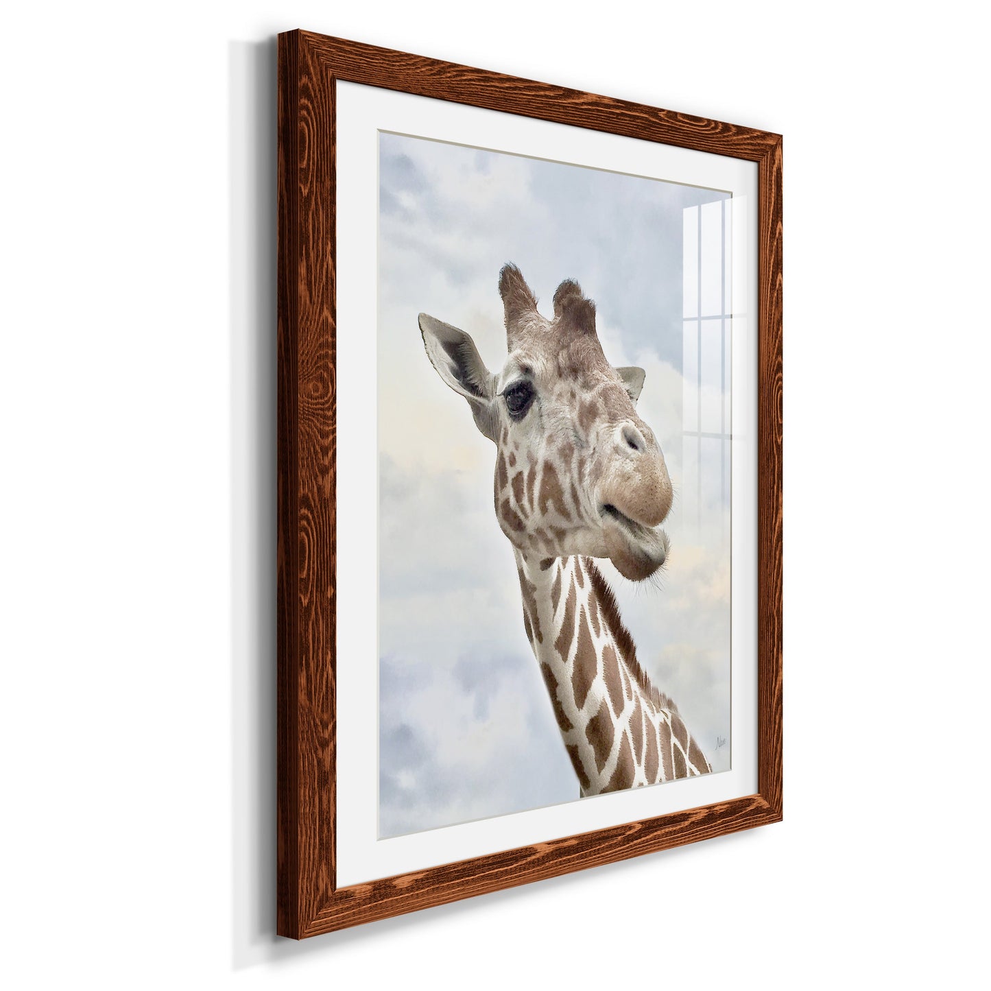 Smiley - Premium Framed Print - Distressed Barnwood Frame - Ready to Hang