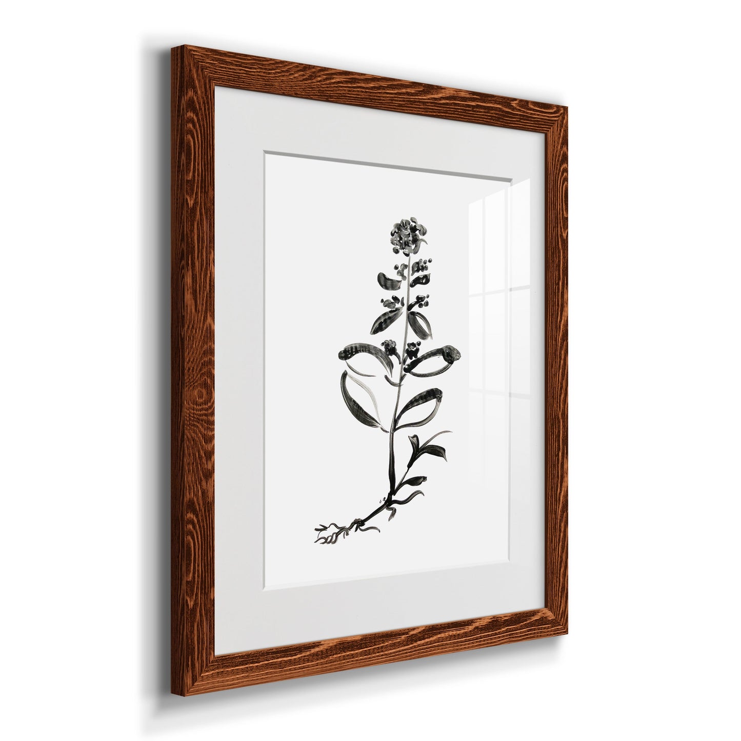 Inky Botanical III - Premium Framed Print - Distressed Barnwood Frame - Ready to Hang