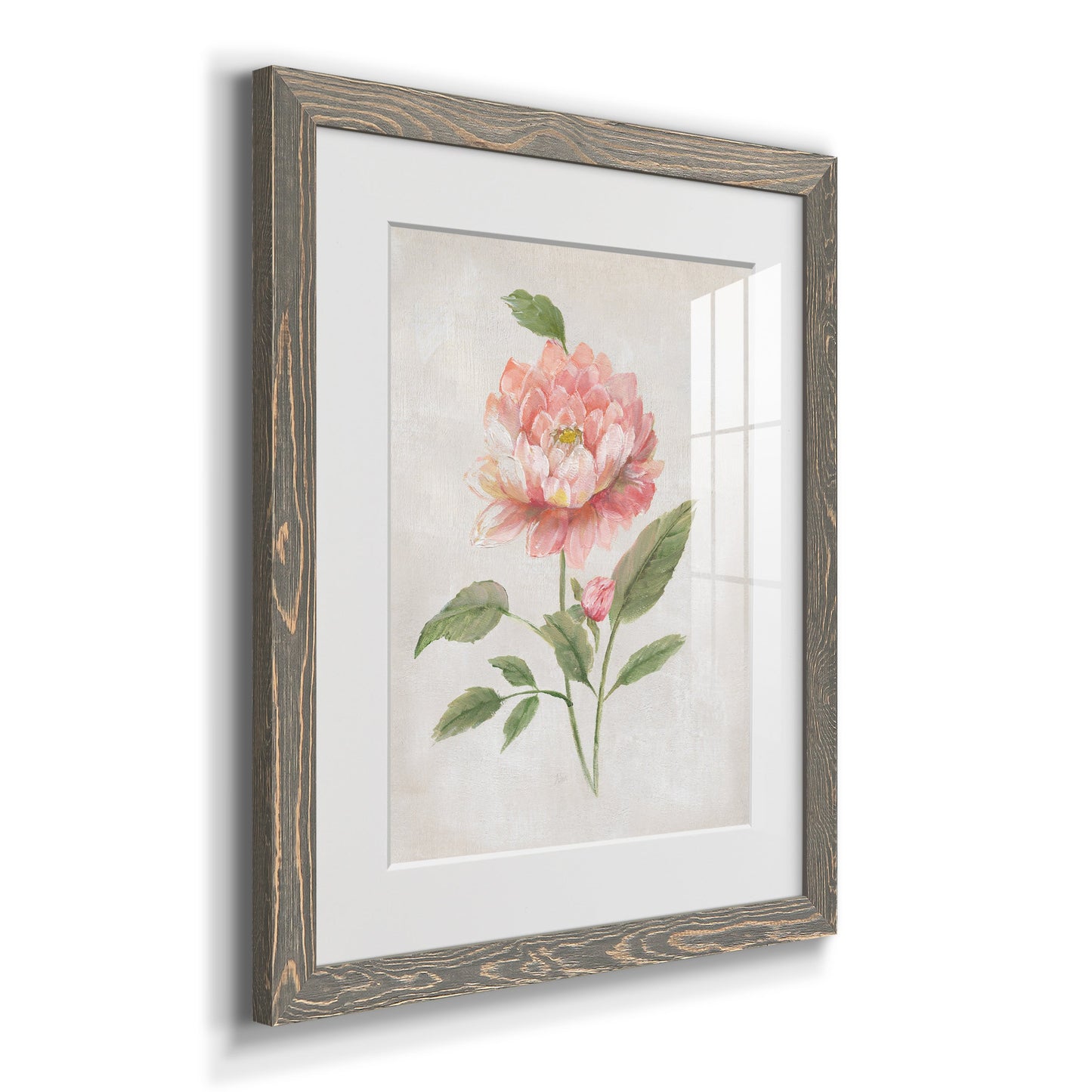 Grandiflora III - Premium Framed Print - Distressed Barnwood Frame - Ready to Hang