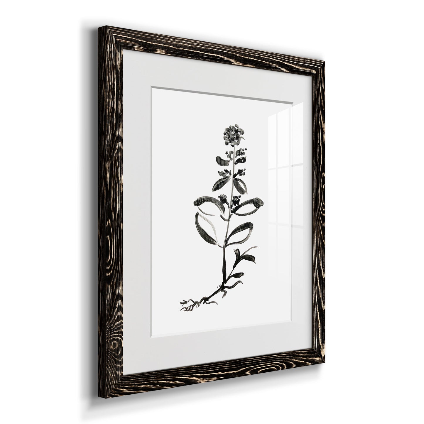 Inky Botanical III - Premium Framed Print - Distressed Barnwood Frame - Ready to Hang