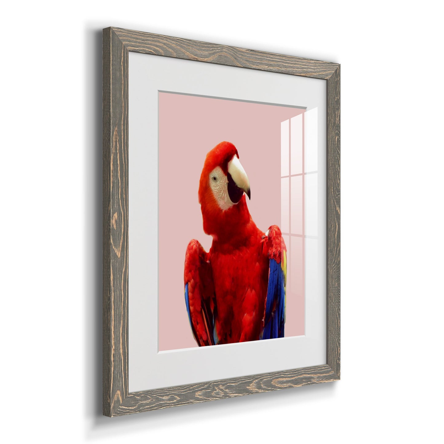 Honduras Wildlife - Premium Framed Print - Distressed Barnwood Frame - Ready to Hang