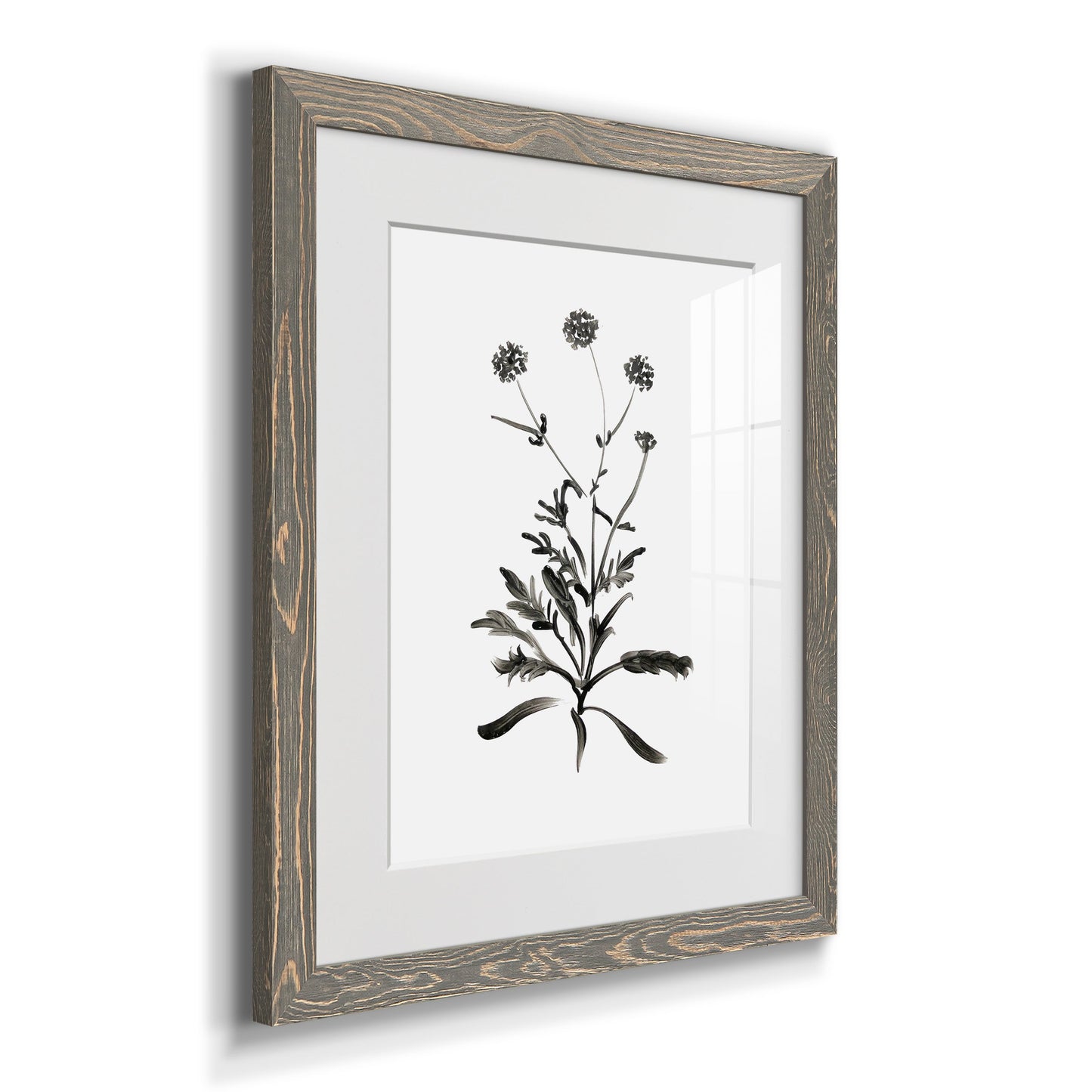 Inky Botanical I - Premium Framed Print - Distressed Barnwood Frame - Ready to Hang