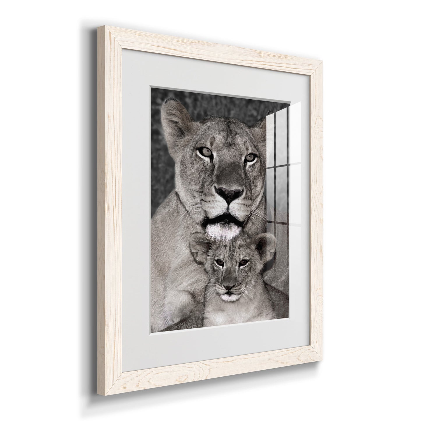 Lioness and Cub - Premium Framed Print - Distressed Barnwood Frame - Ready to Hang