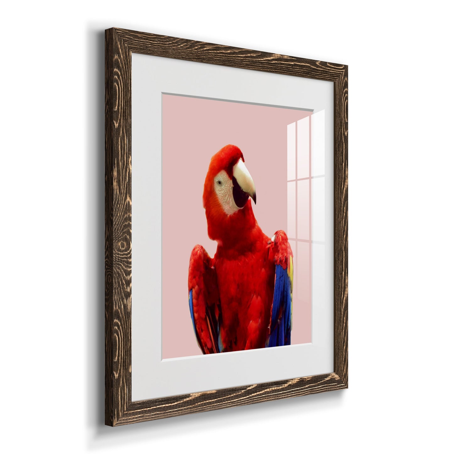 Honduras Wildlife - Premium Framed Print - Distressed Barnwood Frame - Ready to Hang