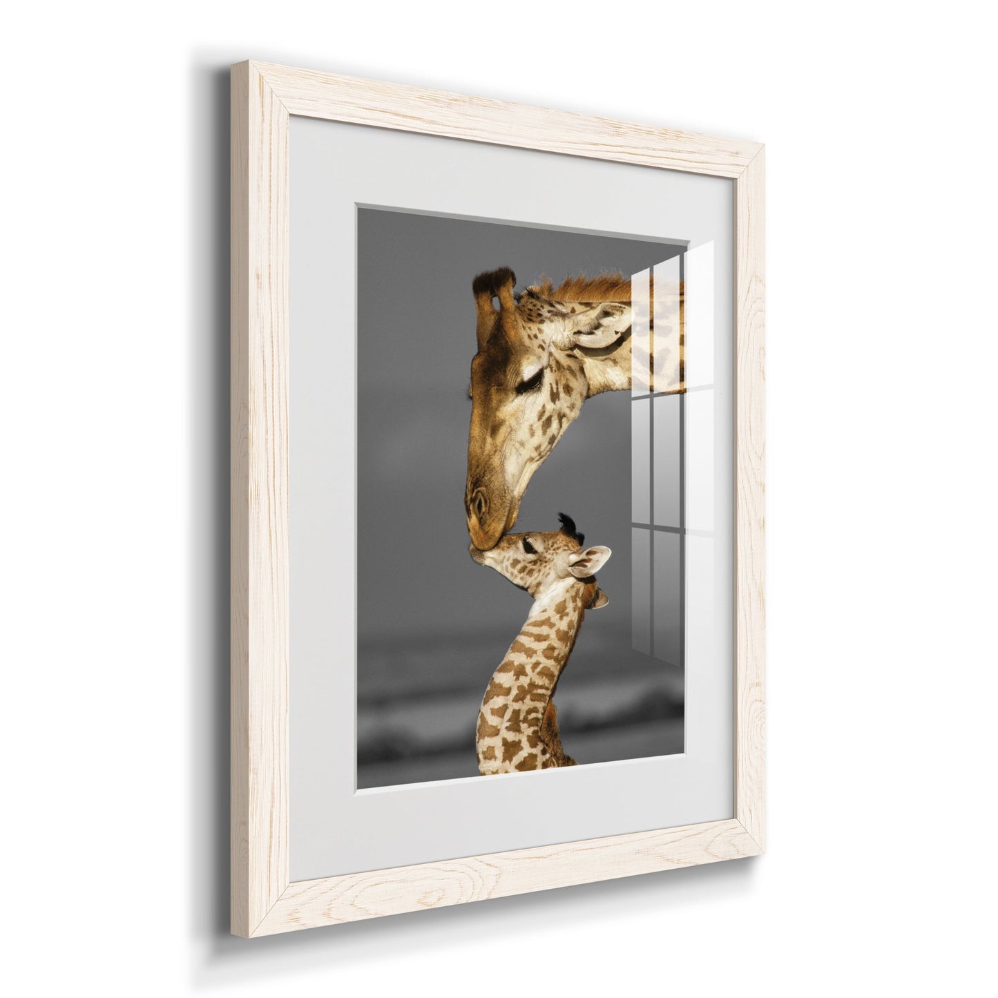 Masai Mara Giraffe Family - Premium Framed Print - Distressed Barnwood Frame - Ready to Hang