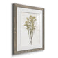 Farmhouse Pressed Flower II - Barnwood Framed Art Print