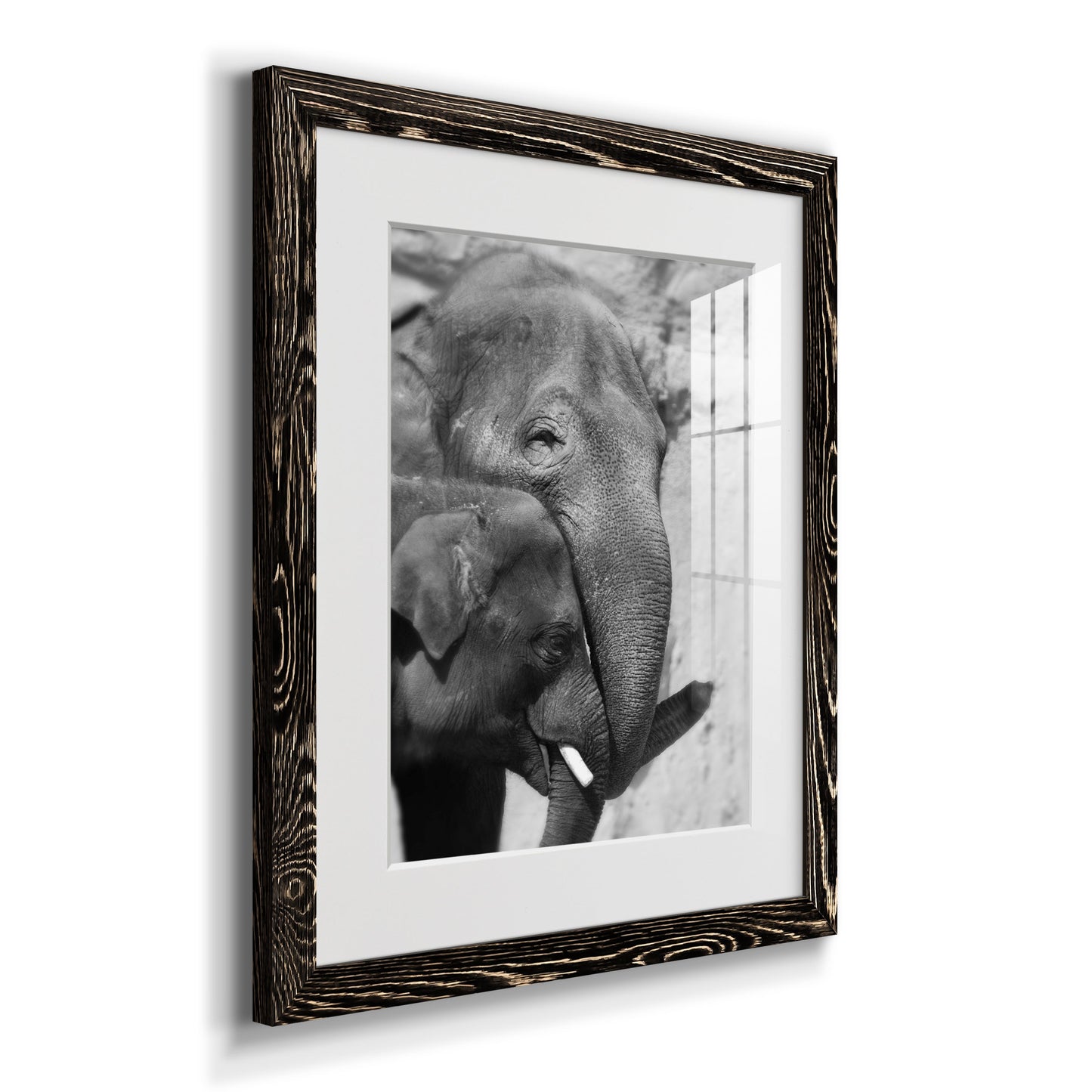 Tender Moment - Premium Framed Print - Distressed Barnwood Frame - Ready to Hang