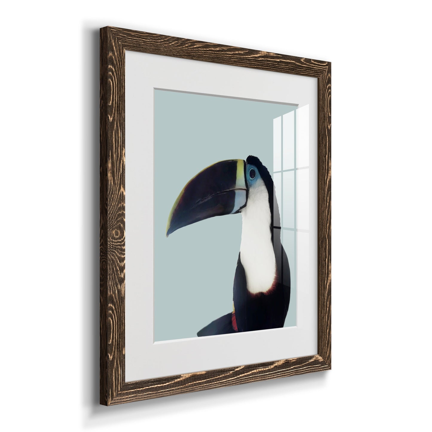 Aruba Wildlife - Premium Framed Print - Distressed Barnwood Frame - Ready to Hang