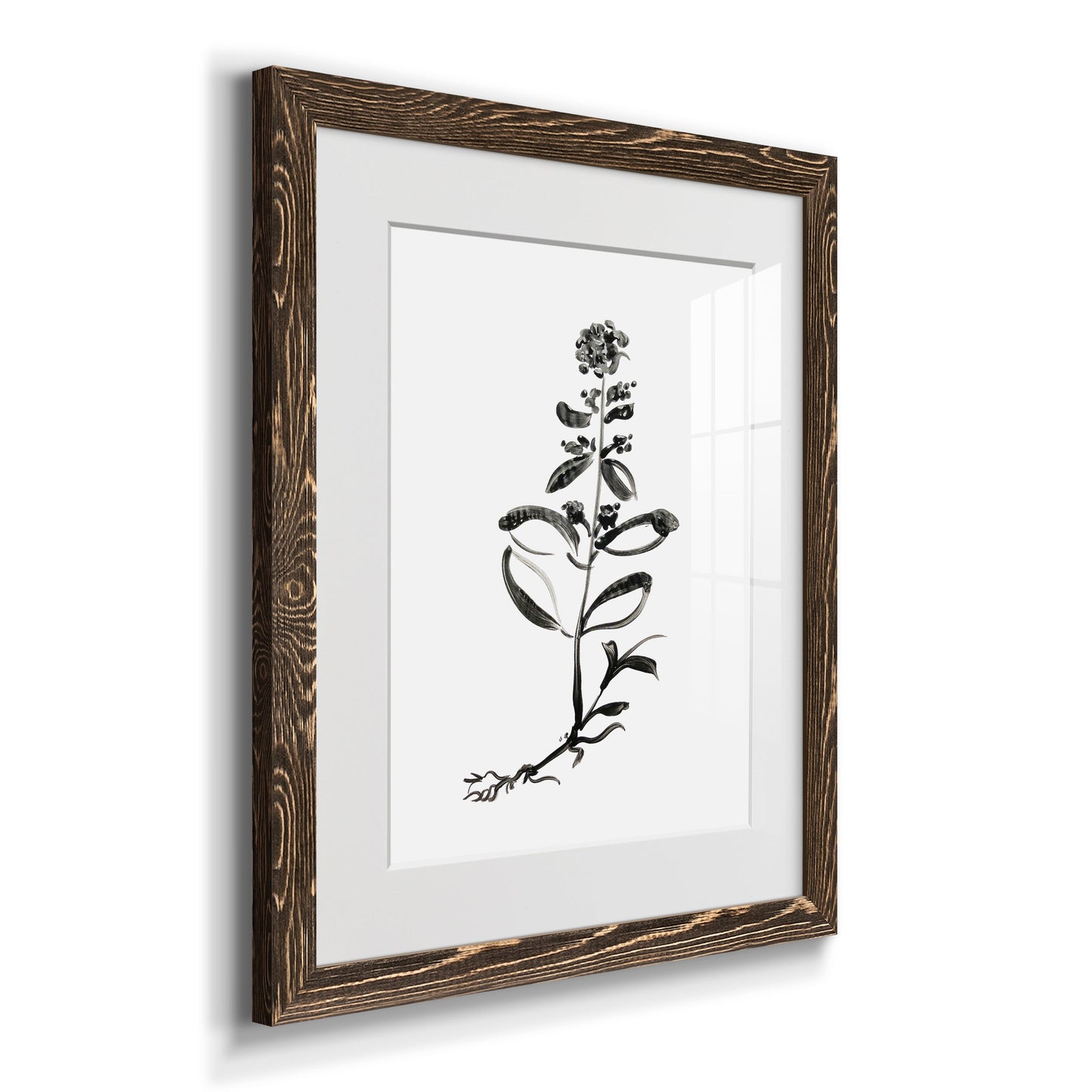 Inky Botanical III - Premium Framed Print - Distressed Barnwood Frame - Ready to Hang