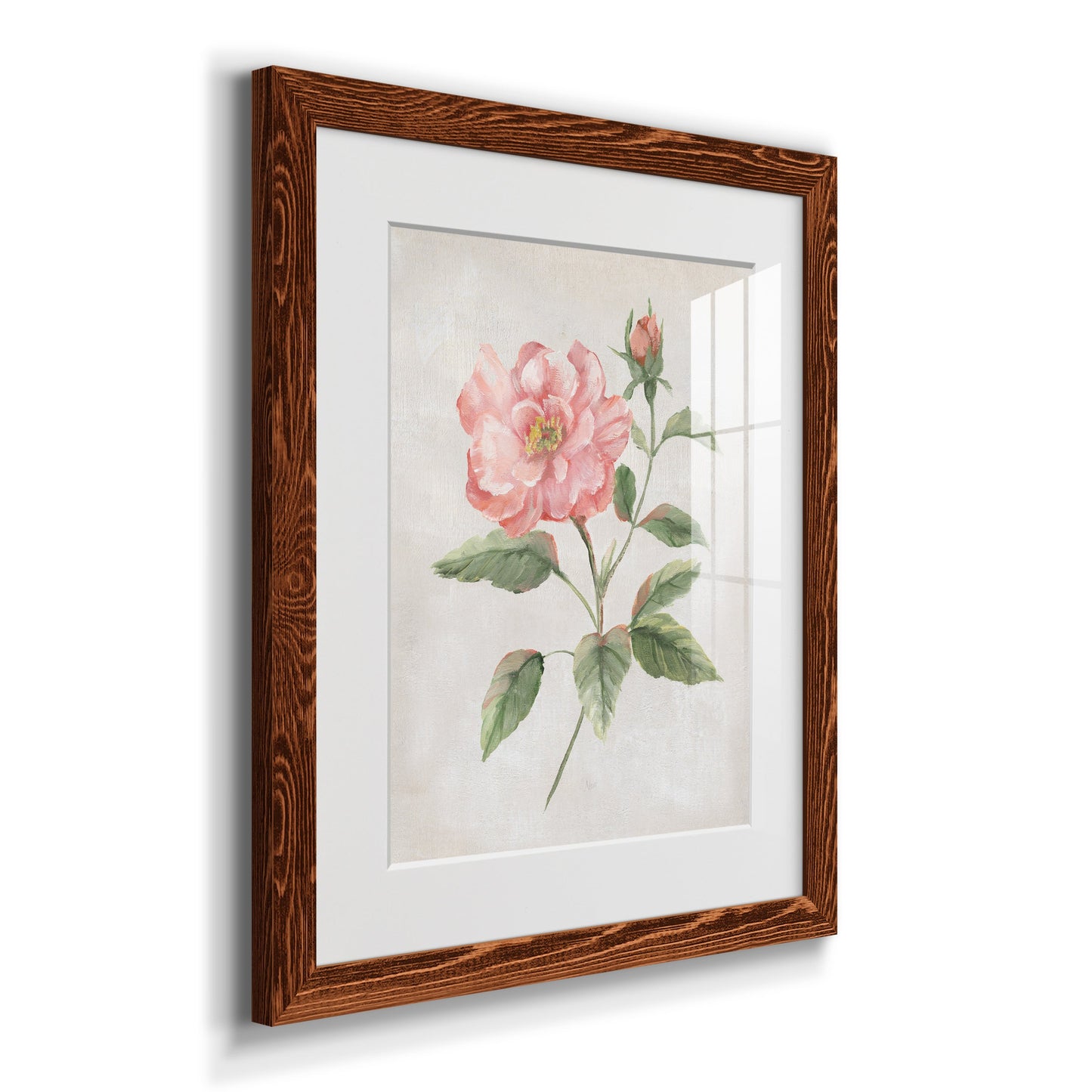 Grandiflora II - Premium Framed Print - Distressed Barnwood Frame - Ready to Hang