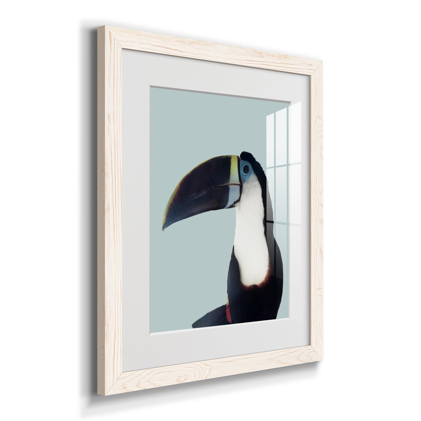 Aruba Wildlife - Premium Framed Print - Distressed Barnwood Frame - Ready to Hang