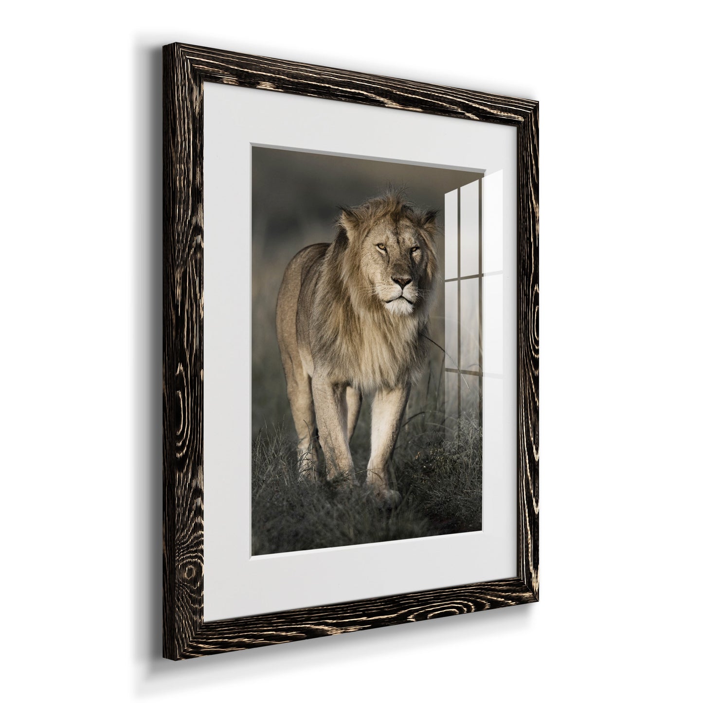 Morning Walk in Masai Mara - Premium Framed Print - Distressed Barnwood Frame - Ready to Hang